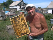 Продам оптом мёд со своей пасеки в Восточном Казахстане